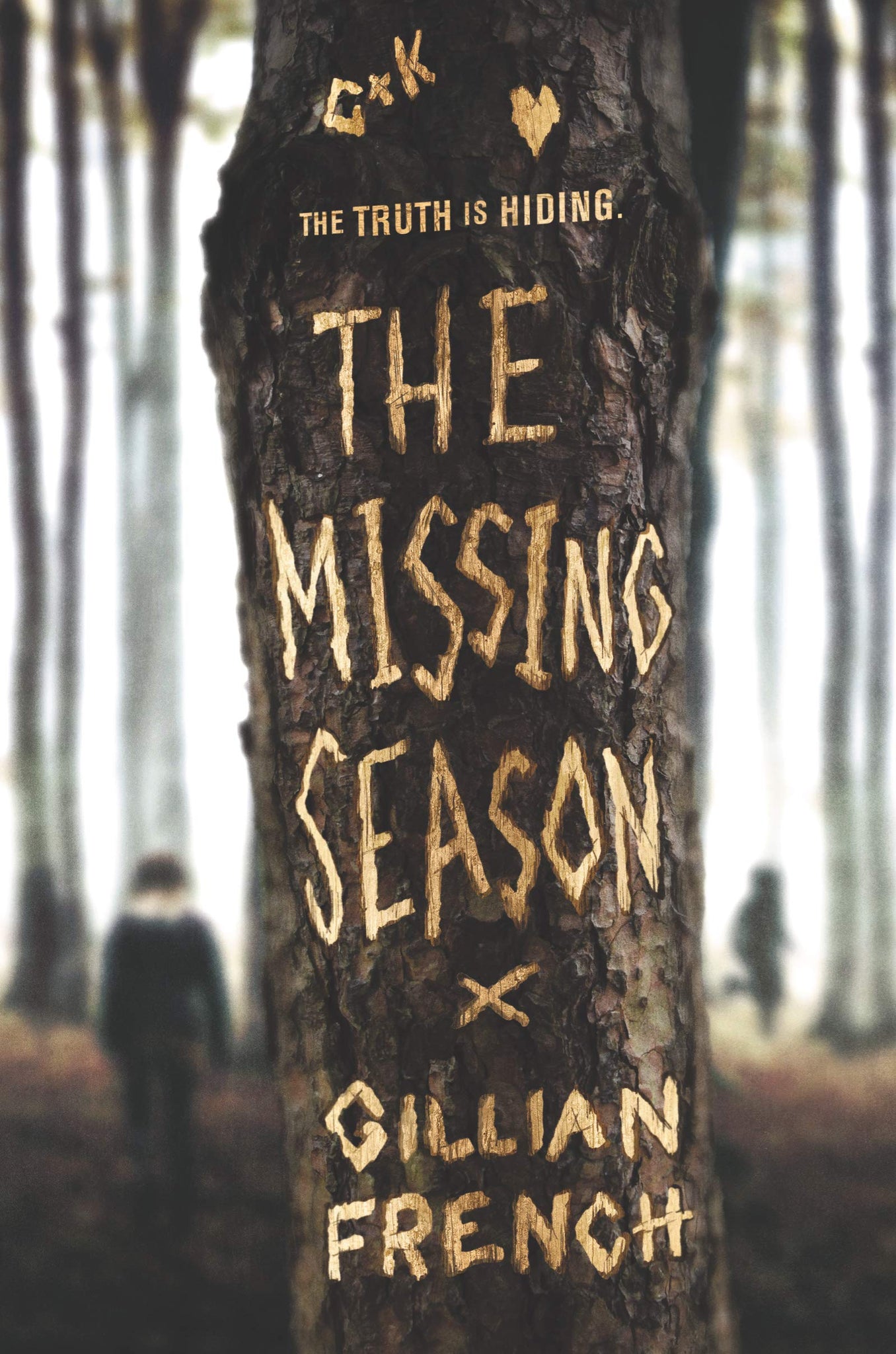 The Missing Season (Hardcover)